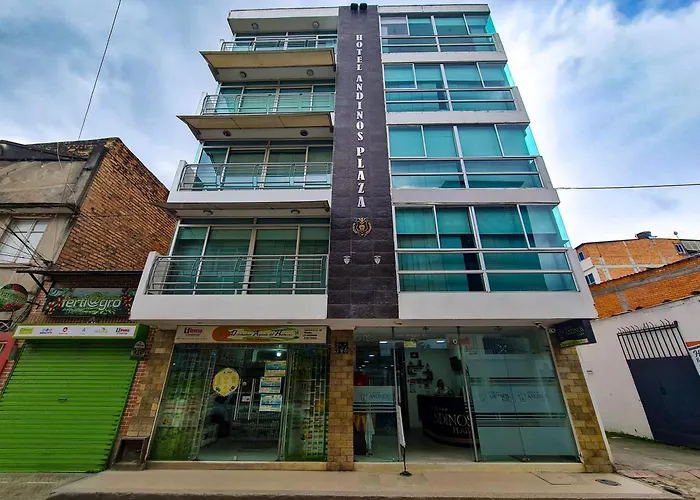 Hotel Andinos Plaza Pitalito