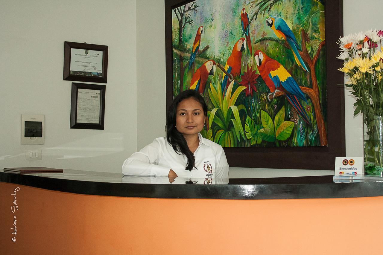 Hotel Andinos Plaza 3*